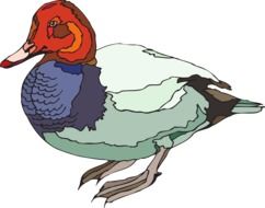 Red Duck as a drawing