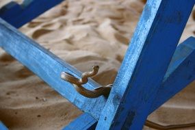 Sand Snake