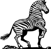black and white drawing of an african zebra