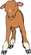 brown calf as a graphic image
