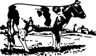 black and white graphic image of a cash cow