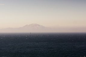 lonely seagull on a background of mountains in the fog