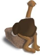 brown ostrich on a stone as a graphic image