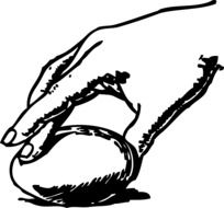 Clipart of Egg and Hand