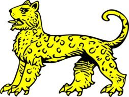 yellow leopard drawing