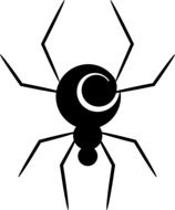 black spider pattern