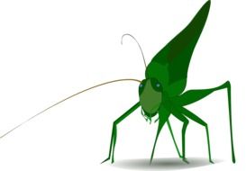 painted green grasshopper