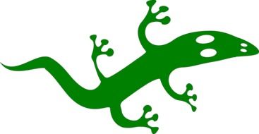 Reptile Lizard Cartoon drawing