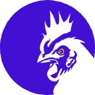 Rooster Cock as a drawing
