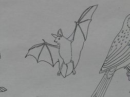 Bat Paint drawing