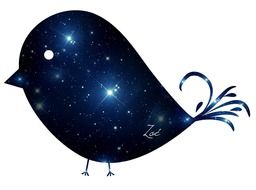painted galactic bird
