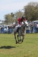 horse racing in the countryside