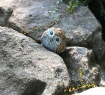 Stone Owl figure
