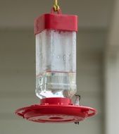 Hummingbird red Feeder