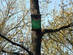green birdhouse on a tree