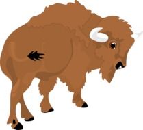 Brown bison as a clipart