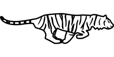 tiger as a graphic image