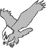 grey Eagle Bird drawing