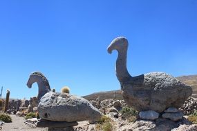 Birds Prehistory Stones