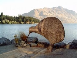 kiwi bird statue in new zealand