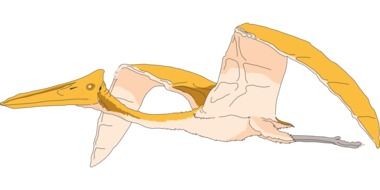 Yellow Dinosaur drawing