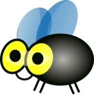 Colorful drawing of the fly clipart
