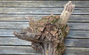 Drift Wood