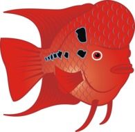 graphic image of red fish in scales