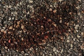 blood after accident