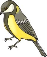 Goldfinch Bird as a drawing