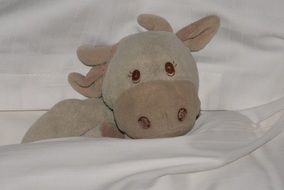 toy for sleeping