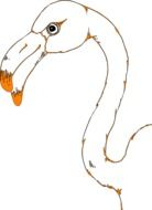 Head of Flamingo with big Beak