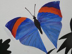 Drawing of the colorful butterfly