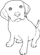 clipart of Puppy Labrador