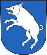 the boar is painted on the coat of arms