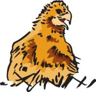 drawing of Baby chick Farm Bird