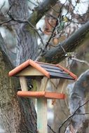 Bird feeding tray on the tree in winter