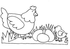 chicken with eggs in a coloring book