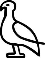historic drawing of a pigeon