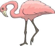 painted pink flamingo on white background