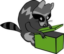 Raccoon and Box drawing