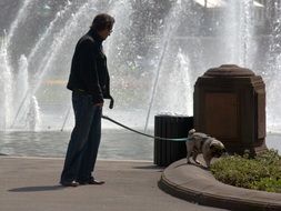 Man and dog near the fountain