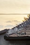 cat sleeping on the roof