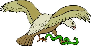 eagle kills the snake drawing