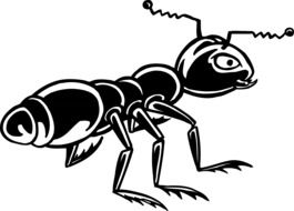 Ant Black Insect drawing