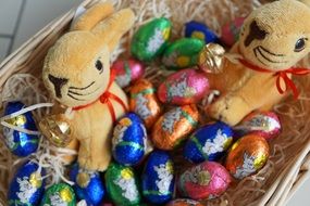 Easter bunnies in basket with chocolate eggs inside