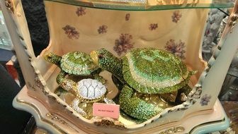 turtle as jewelry