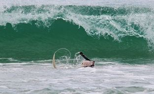 dog is swimming on the background of the ocean wave