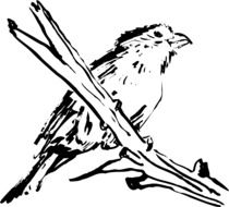 Beautiful black and white drawing of a perched bird on the branch