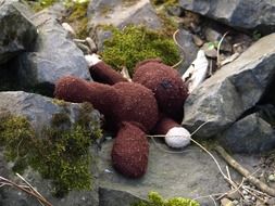 lost stuffed bear on stones